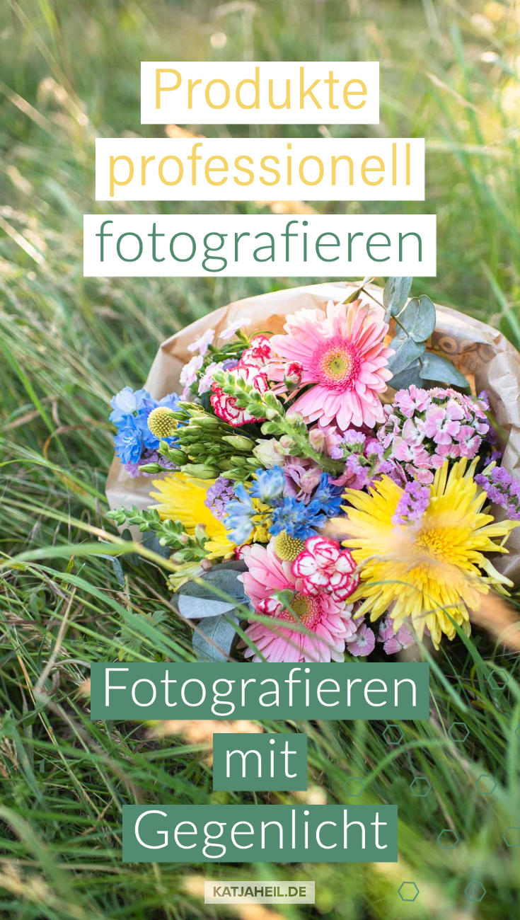 Fotografieren mit Gegenlicht Anleitung