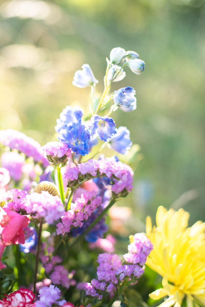 Blumenstrauß im Gegenlicht