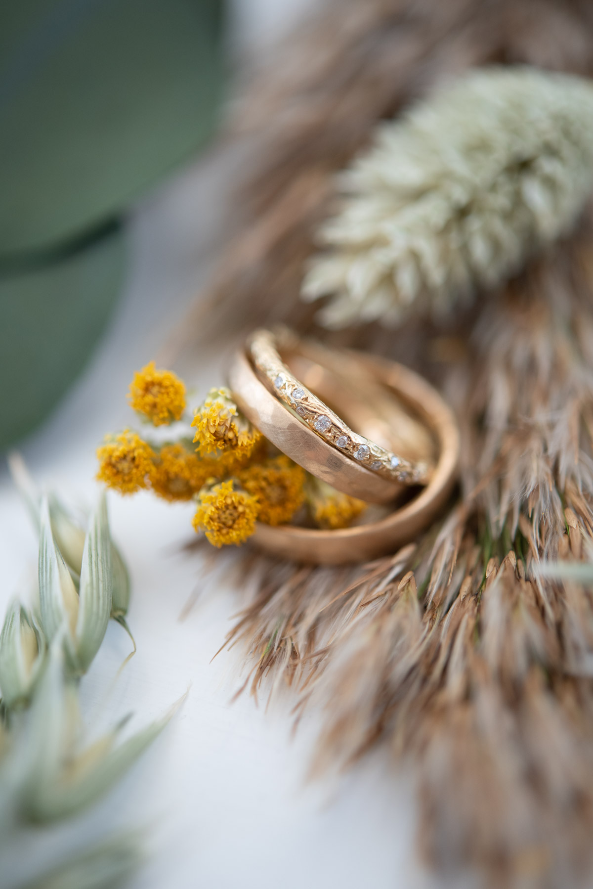 Ringfoto unbearbeitet Ringfoto unbearbeitet